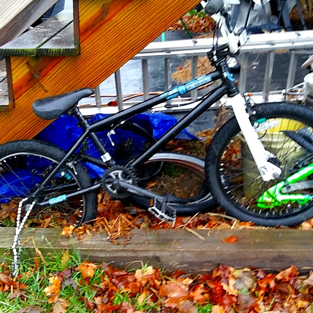 Redline bike bmx